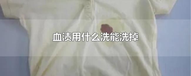 血渍用什么洗能洗掉