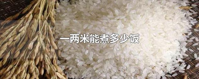 一两米能煮多少饭 一两米能煮多少饭