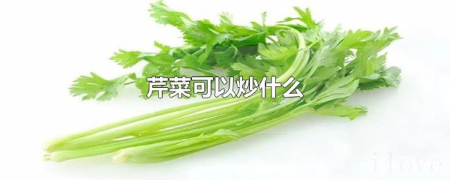 芹菜可以炒什么