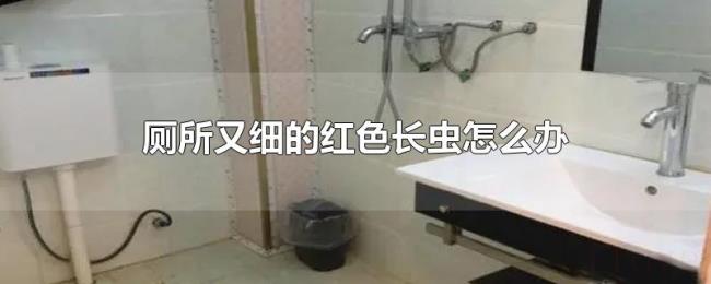 厕所又细的红色长虫怎么办 厕所又细的红色长虫怎么办