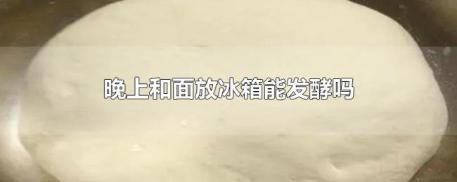 晚上和面放冰箱能发酵吗 晚上和面放冰箱能发酵吗