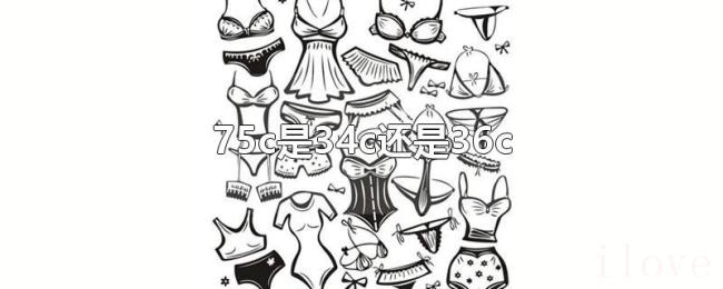 75c是34c还是36c 75c是34c还是36c