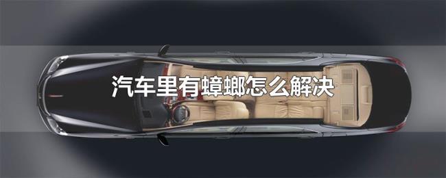 汽车里有蟑螂怎么解决