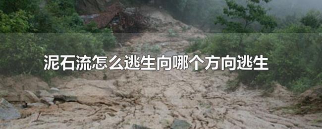 泥石流怎么逃生向哪个方向逃生