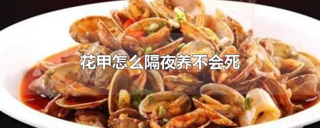 花甲怎么隔夜养不会死 花甲怎么隔夜养不会死