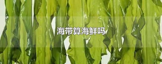 海带算海鲜吗 海带算海鲜吗