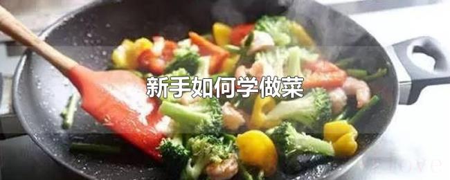 新手如何学做菜