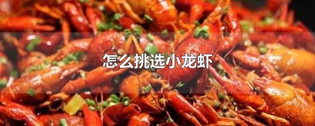 怎么挑选小龙虾 怎么挑选小龙虾
