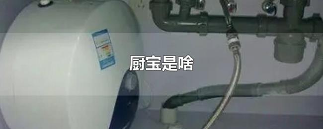 厨宝是啥 厨宝是啥
