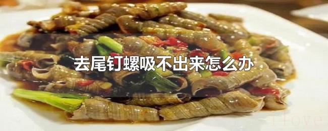 去尾钉螺吸不出来怎么办 去尾钉螺吸不出来怎么办