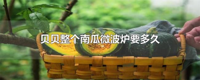贝贝整个南瓜微波炉要多久 贝贝整个南瓜微波炉要多久