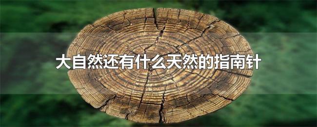 大自然还有什么天然的指南针 大自然还有什么天然的指南针