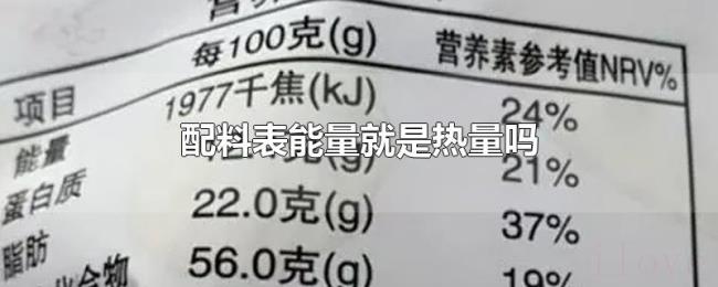配料表能量就是热量吗