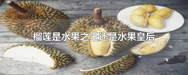 榴莲是水果之王还是水果皇后