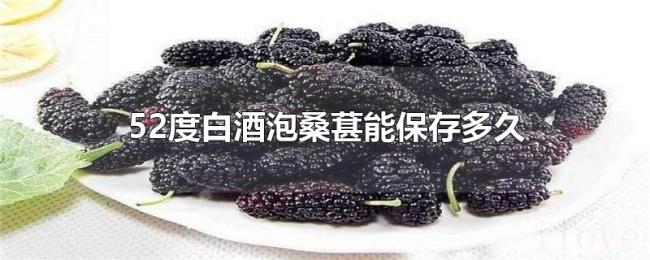 52度白酒泡桑葚能保存多久 52度白酒泡桑葚能保存多久