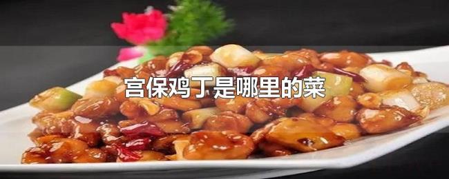 宫保鸡丁是哪里的菜 宫保鸡丁是哪里的菜
