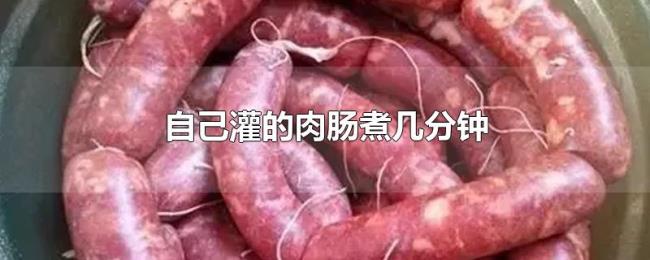 自己灌的肉肠煮几分钟 自己灌的肉肠煮几分钟
