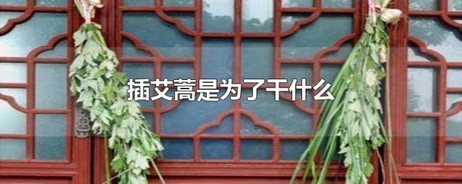 插艾蒿是为了干什么