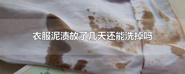 衣服泥渍放了几天还能洗掉吗 衣服泥渍放了几天还能洗掉吗