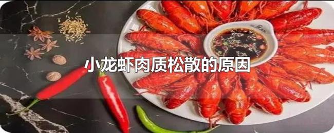 小龙虾肉质松散的原因