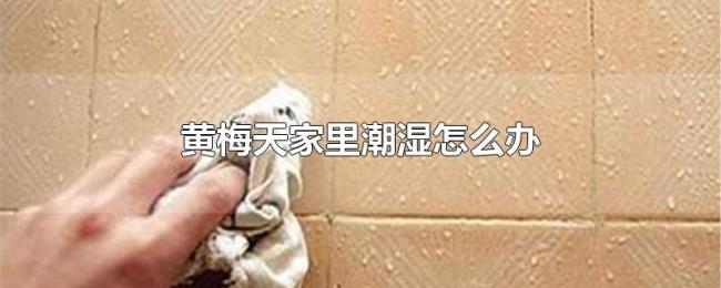 黄梅天家里潮湿怎么办