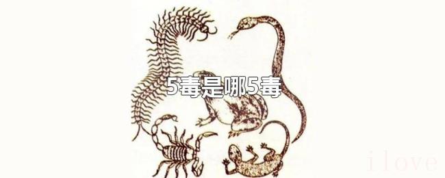 5毒是哪5毒 5毒是哪5毒