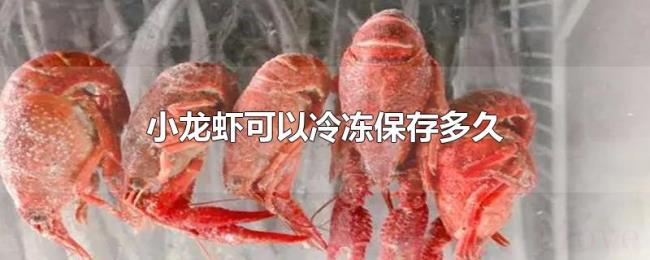 小龙虾可以冷冻保存多久 小龙虾可以冷冻保存多久