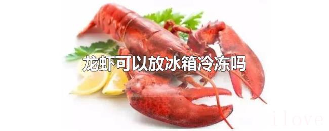 龙虾可以放冰箱冷冻吗