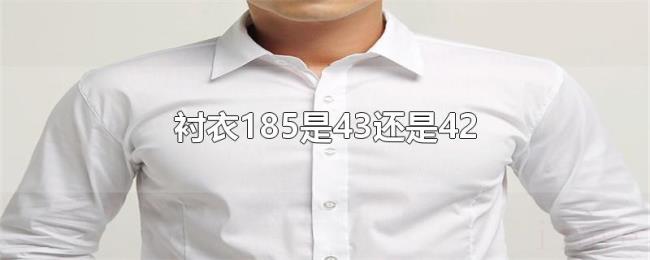 衬衣185是43还是42 衬衣185是43还是42