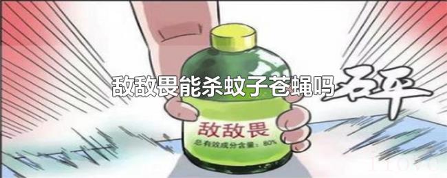 敌敌畏能杀蚊子苍蝇吗