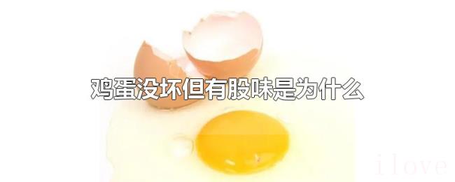 鸡蛋没坏但有股味是为什么