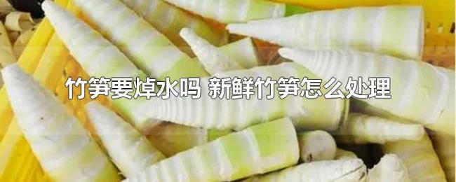 竹笋要焯水吗（新鲜竹笋怎么处理）