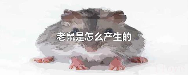 老鼠是怎么产生的