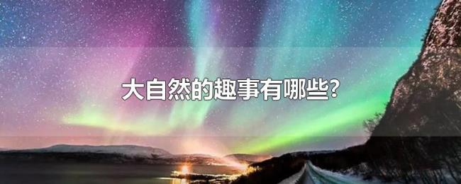 大自然的趣事有哪些?