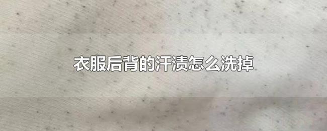 衣服后背的汗渍怎么洗掉