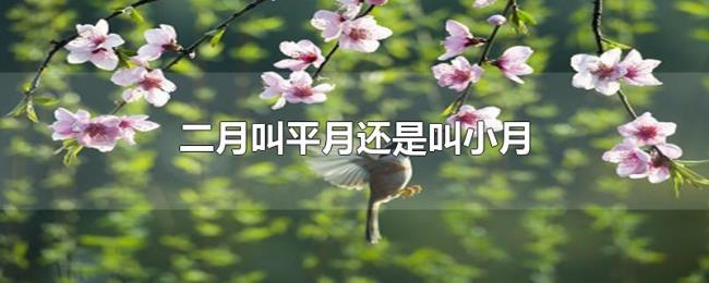二月叫平月还是叫小月 二月叫平月还是叫小月