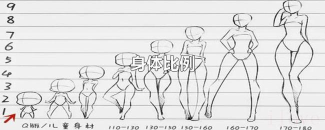 身体比例 身体比例