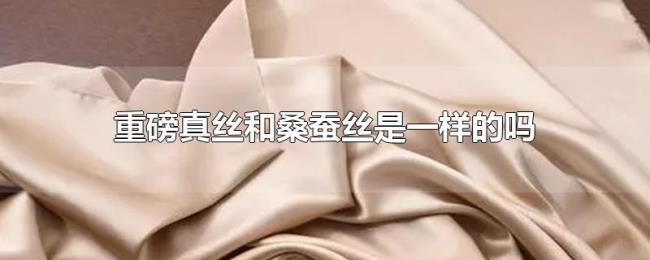 重磅真丝和桑蚕丝是一样的吗 重磅真丝和桑蚕丝是一样的吗