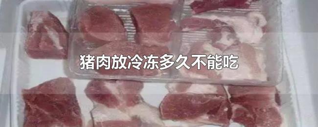 猪肉放冷冻多久不能吃 猪肉放冷冻多久不能吃