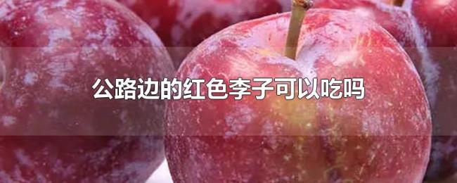 公路边的红色李子可以吃吗 公路边的红色李子可以吃吗