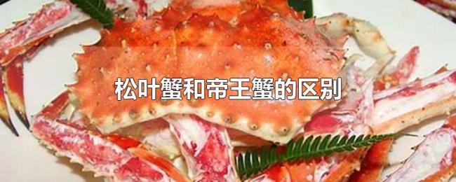 松叶蟹和帝王蟹的区别 松叶蟹和帝王蟹的区别