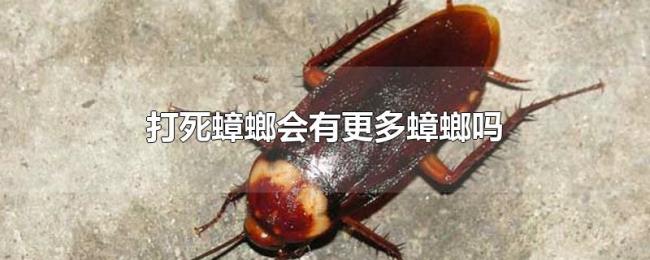 打死蟑螂会有更多蟑螂吗 打死蟑螂会有更多蟑螂吗