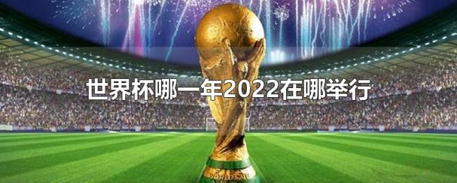 世界杯哪一年2022在哪举行 世界杯哪一年2022在哪举行