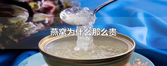 燕窝为什么那么贵 燕窝为什么那么贵