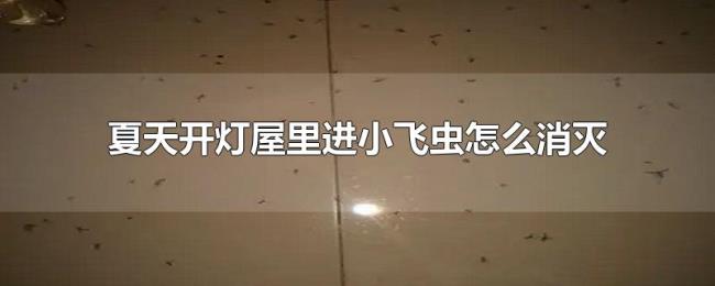 夏天开灯屋里进小飞虫怎么消灭 夏天开灯屋里进小飞虫怎么消灭
