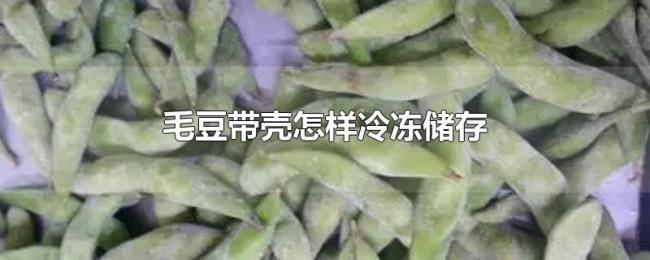 毛豆带壳怎样冷冻储存 毛豆带壳怎样冷冻储存