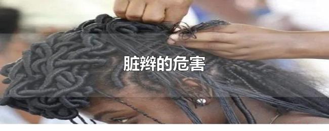 脏辫的危害 脏辫的危害