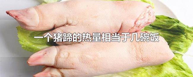 一个猪蹄的热量相当于几碗饭