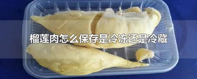 榴莲肉怎么保存是冷冻还是冷藏 榴莲肉怎么保存是冷冻还是冷藏