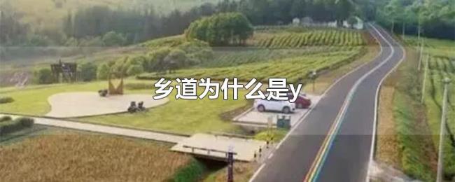 乡道为什么是y 乡道为什么是y